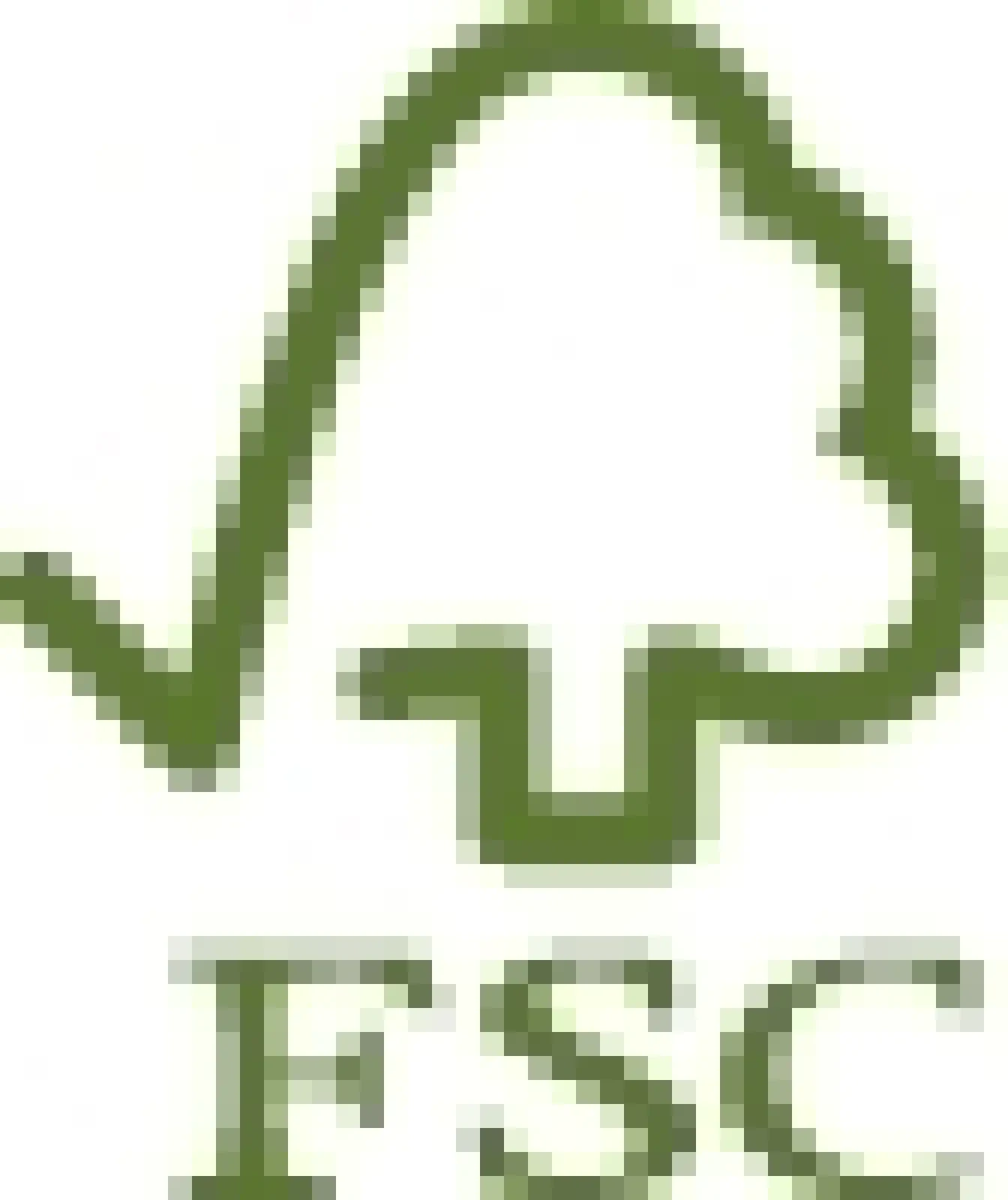 FSC Logo
